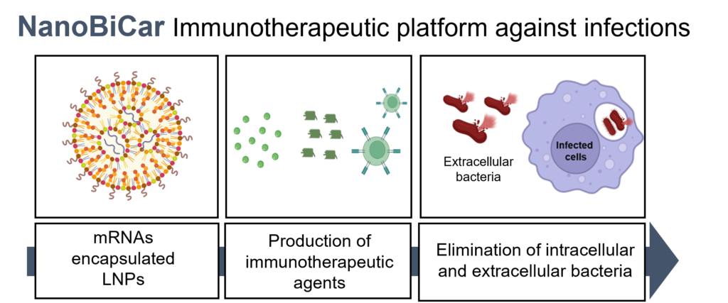 Esquema Nanobicar_web